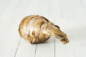 narcissus root balls