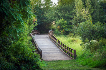 Wooden Bridge Over Meadow