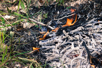The fire in the green grass. A fire in the woods. Barbecue on the nature, picnic.