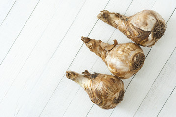 narcissus root balls