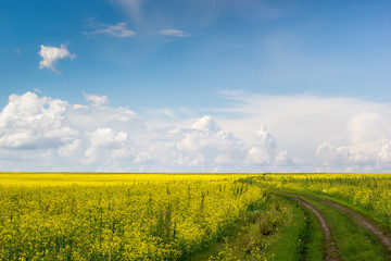 Rural dirt road under blue sky with clouds