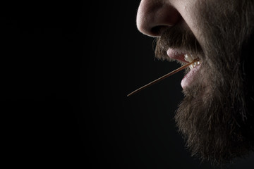 Naklejka premium Close Up of a Bearded Man with a Wood Toothpick in His Mouth on Black Background