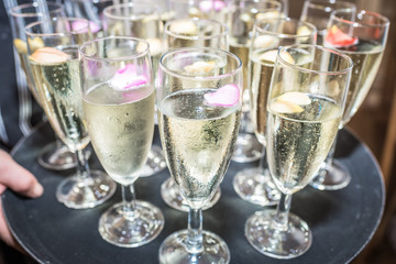 champagne glasses