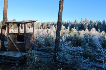 A small hunting tower in a frozen cold forest on a sunny day.