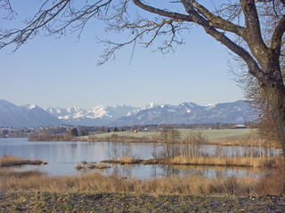Riegsee - Moorsee im Voralpenland