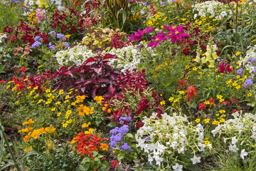 Blumenvielfalt in der Parkanlage