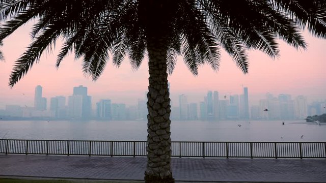 Walk by promenade. Seagulls fly above quay at morning. Cityscape at horizon.