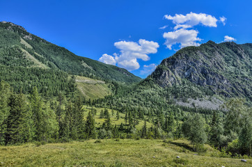 Fototapeta na wymiar Picturesque summer mountain landscape at sunny day, Altai mountains, Siberia, Russia