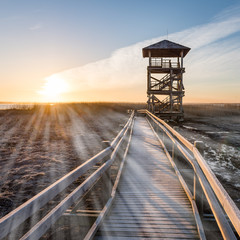 wooden boardwalk with bird watch tower in early morning - light rays effect