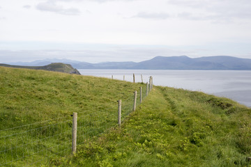 Fototapeta premium dingle peninsula path on the wild atlantic way