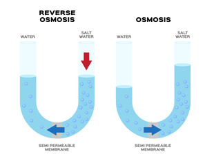 osmosis and reverse osmosis infographic vector