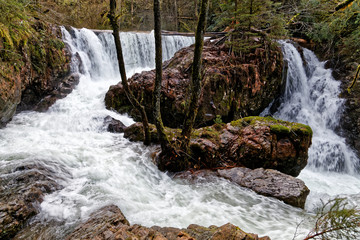 Ruisseau des Vosges