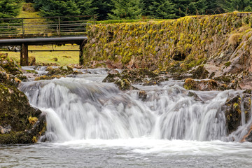 Ruisseau des Vosges