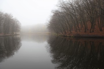fog in Goloseevo
