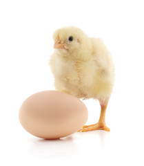 Obraz premium Chicken and egg.