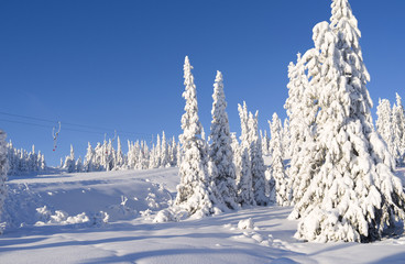 Norefjell / Norway: Dreamy winter landscape around the kids lift and exercise slope in Boeeseter