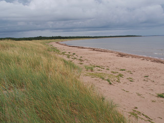 Saaremaa