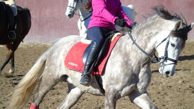 Amazona montando un caballo al galope