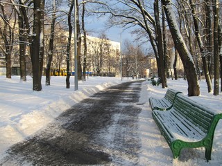 snow-capped park