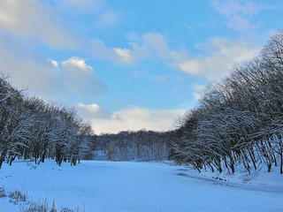 winter sky