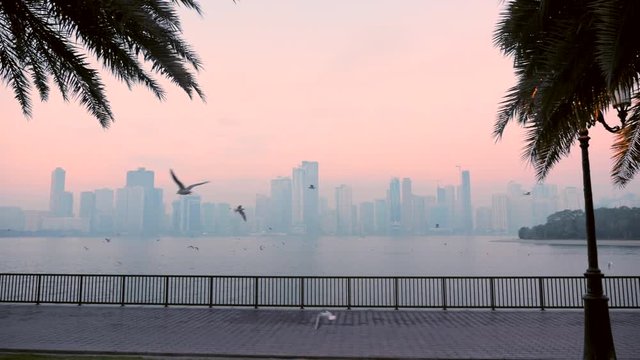 Slow motion flight of seagulls above quay embankment waterfront. Fance and buildings at blue fog at horizon.