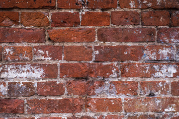 Naklejka premium Old vintage brick wall with the remains of paint - grunge texture, background