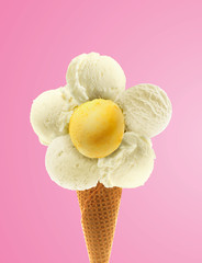 Daisy Ice cream