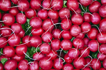 Fresh red radish on the market. Healthy food.