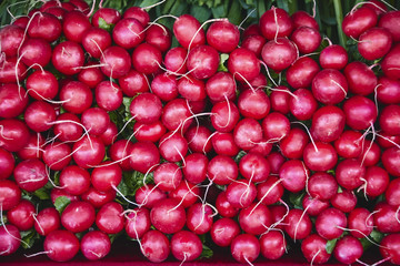 Fresh red radish on the market. Healthy food.