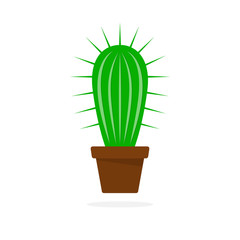 Cactus in flower pot. Vector illustration.