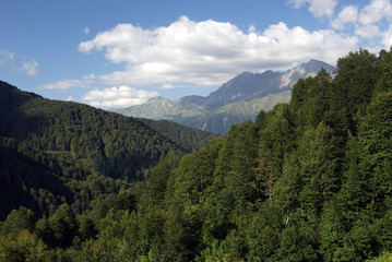 Fototapeta na wymiar a view of the mountains covered with a dense green forest, in the Caucasian Reserve