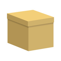 Carton box with a closed lid