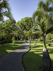 Obraz premium Paradise Gardens