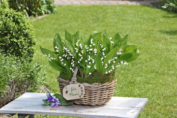 Maigl&ouml;ckchen zum Muttertag