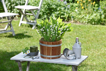 Duftende Maigl&ouml;ckchen im Holzk&uuml;bel