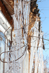 spring icicles from the roof to the branches of a tree