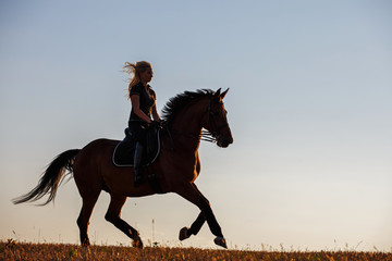 Beautiful horse with girl silhouette