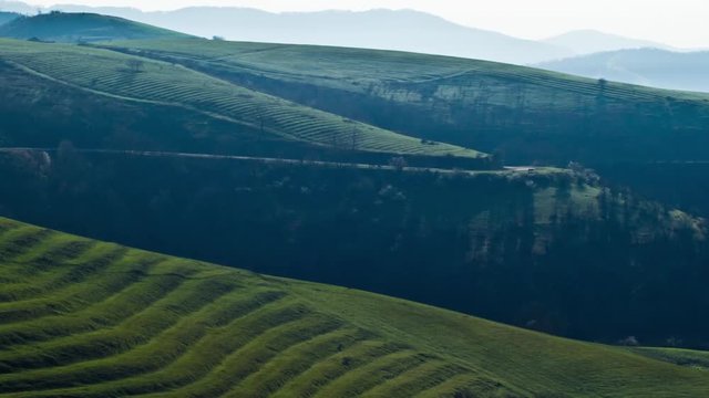 Terrace Farming. Greenery. Green Hills Zoomin Time Lapse