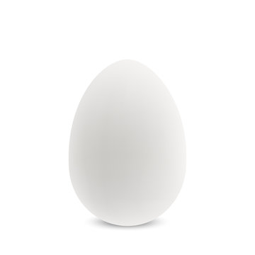 Vector white single realistic egg.