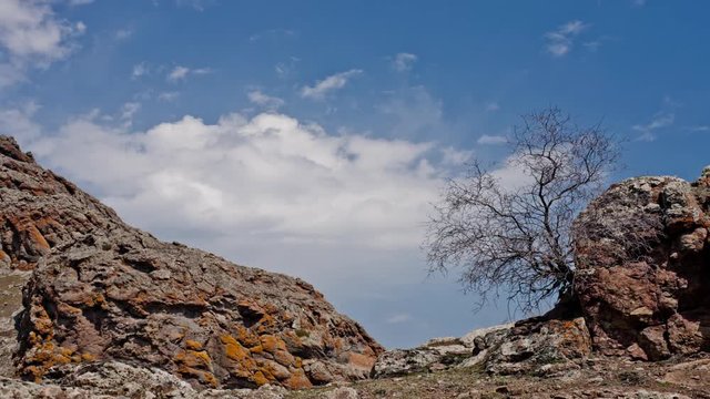 Deadwood In A Rock With Cloudy Sky On Foreground
