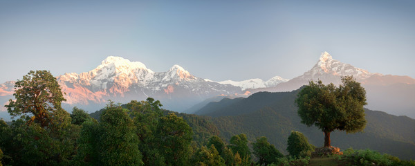 Panoramic mountain landscape. The majestic mountains Annapurna and Machapuchare and the dense green forest around. Nepal, Mardi Himal trek