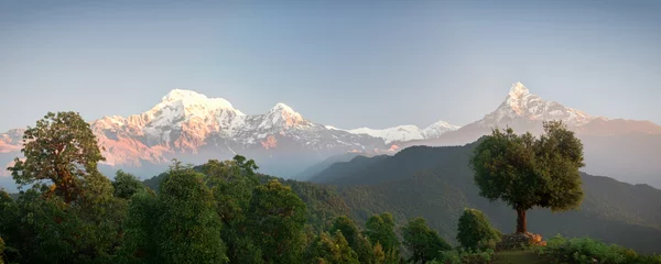 Fotobehang Panoramic mountain landscape. The majestic mountains Annapurna and Machapuchare and the dense green forest around. Nepal, Mardi Himal trek © Alex Shestakov