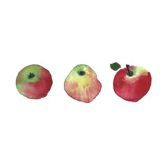 Traditional Russian fruits are apples. Watercolor rustic wedding image of red apple. Natural watercolor splash painting texture. Wedding card, greeting cards, creation of hipster label.