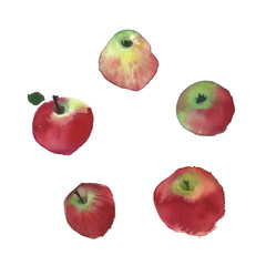 Traditional Russian fruits are apples. Watercolor rustic wedding image of red apple. Natural watercolor splash painting texture. Wedding card, greeting cards, creation of hipster label.