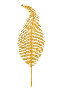 Beautiful Gold Feather Isolated On White Background