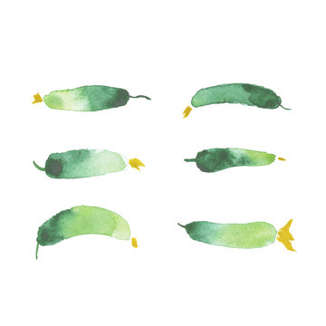 Watercolor cucumbers painting art, vegetable restaurant banner background with natural watercolor splash textures.
