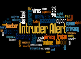 Intruder alert word cloud concept 3