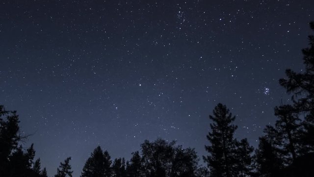 Timelapse of stars moving at night sky over conifer