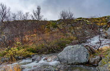 Fototapeta premium A gloomy autumn landscape with hills covered with moss and a river in the tundra. Cold northern nature. Kola Peninsula, Russia.
