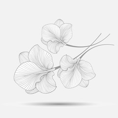Hand-drawing abstract floral background. Vector flower amaryllis. Element for design.
